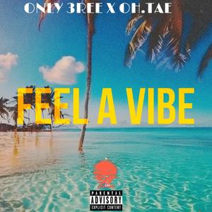 FEEL A VIBE (feat. OH.Tae) [Explicit]