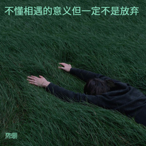 不懂相遇的意义但一定不是放弃