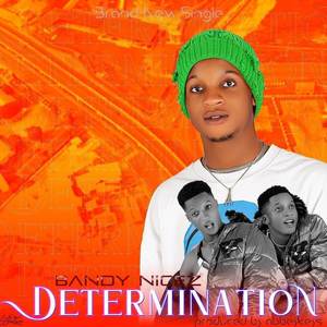 Determination (Explicit)