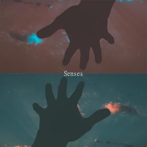 Senses