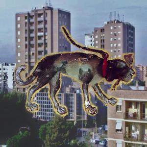 Levriero (Explicit)