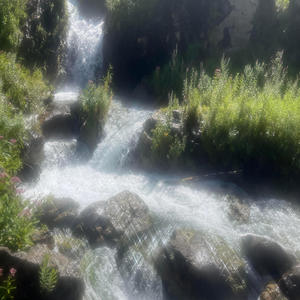 for da feature (Explicit)