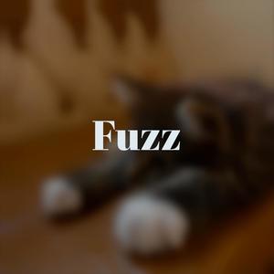 Fuzz