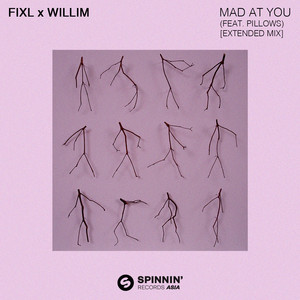 Mad At You (feat. Pillows) [Extended Mix]