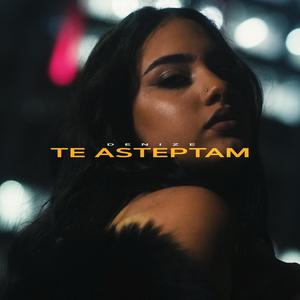 Te asteptam