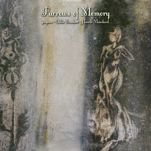 Sleeping Among the Rice Fields