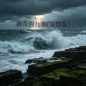 神奇的九寨 (深情版)封面