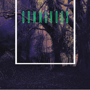 Commandos (Explicit)