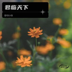 君临天下-QD白小白