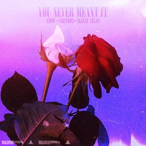 you never meant it (Explicit)