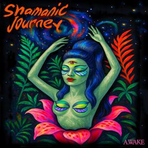 Shamanic Journey