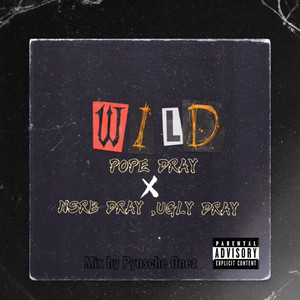 Wild (feat. Nsrb Dray, Ugly Dray) [Explicit]