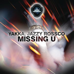 Missing U (Radio Edit)