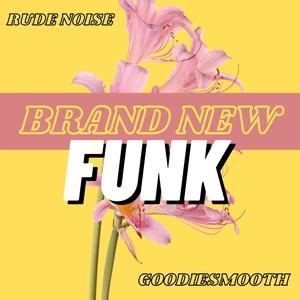 Brand New Funk (Explicit)