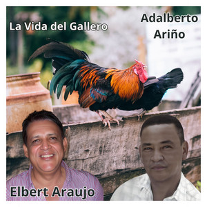 La vida del gallero