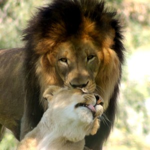 Best Of Me (Remix|Explicit)