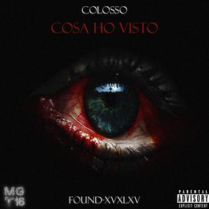 Cosa ho visto(feat. Colosso, Found & xv-xlxv) (Explicit)