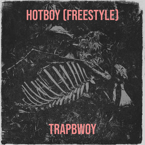 Hotboy(Freestyle) (Explicit)