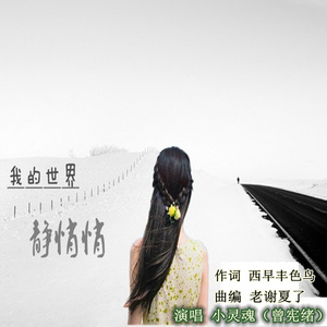 我的世界静悄悄