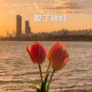说散就散 (DJ版)