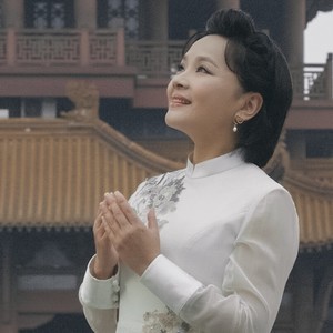 满城的樱花又开了