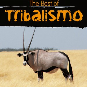 Baila Rumbero (Tribal Mix)