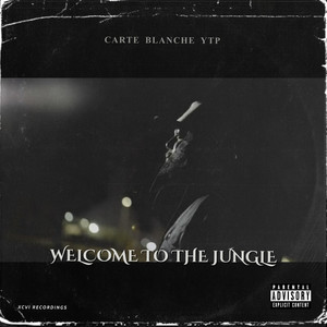 Welcome To The Jungle (feat. Noni Picasso & Noni Spitz) [Explicit]