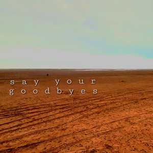 Say Your Goodbyes