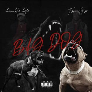 Big Dog (feat. Tsu Gz) [Explicit]