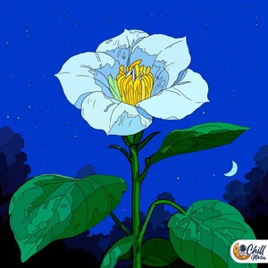 Moonflower