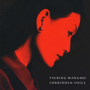 Forbidden Voice