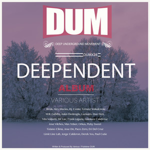 Ibiza Love (Brrak Remix)