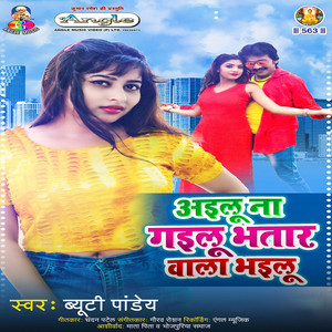 Ailu Na Gailu Bhatar Wala Bhailu