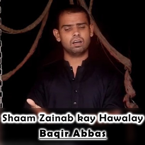 Shaam Zainab Kay Hawalay