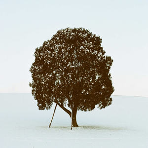 Greet (Feat. 박하은)