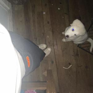 feelingreal.mp4 (Explicit)