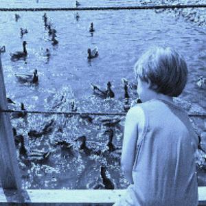 south for the winter