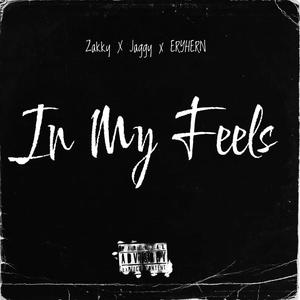 In my feels (feat. Eryhern & Zakkyzamani)