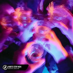 Habits (Stay High)