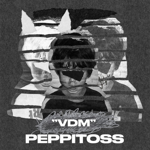 VDM (Explicit)