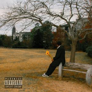 don't wanna fall in love (Explicit)