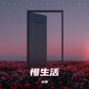 宝藏女友封面