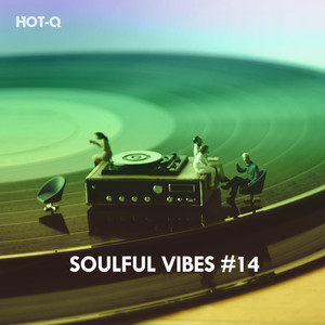 Soulful Vibes, Vol. 14