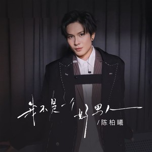 我不是一个好男人