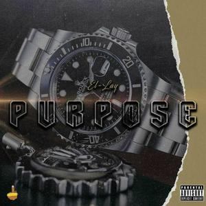 Purpose (Explicit)