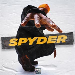 Spyder