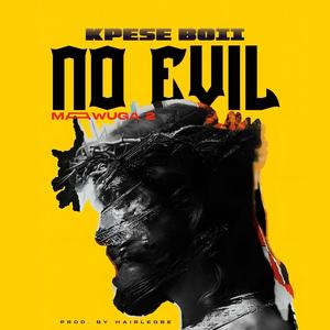 No Evil (Mawuga2)