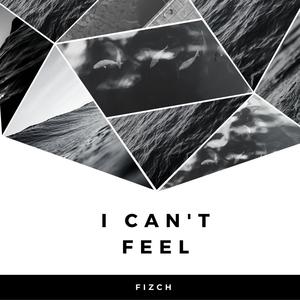 I Can't Feel