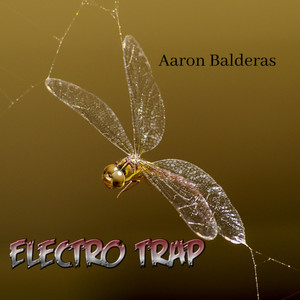 Electro Trap