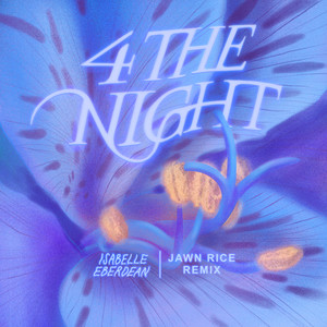 4 The Night (Jawn Rice Remix)